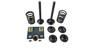 Комплект клапанов SB-1161LTE