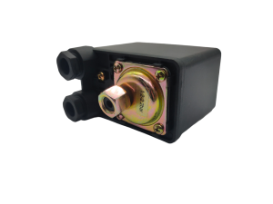 Блок автоматики 1,2 - 2,2 бар PS 600C