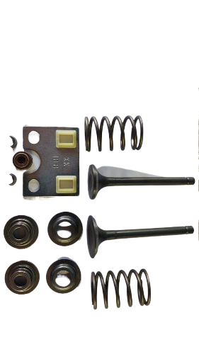 Комплект клапанов SB-1161LTE