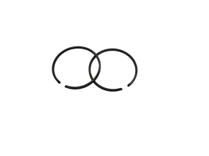 Комплект поршневых колец BW28