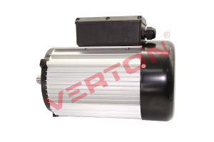 Двигатель в сборе Verton СМ-300