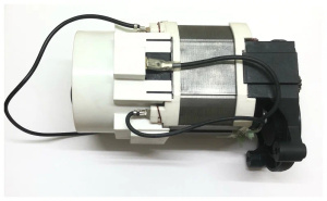 Двигатель в сборе  VERTON PW2500