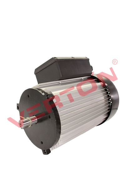 Двигатель в сборе Verton СМ-300