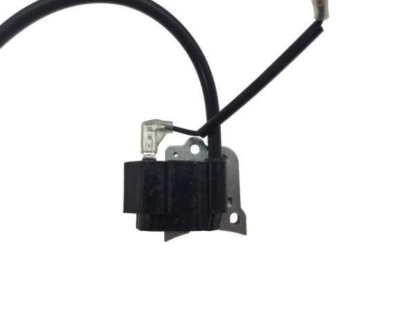 Зажигание BW 4/80