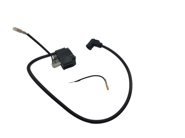 Зажигание BW 4/80